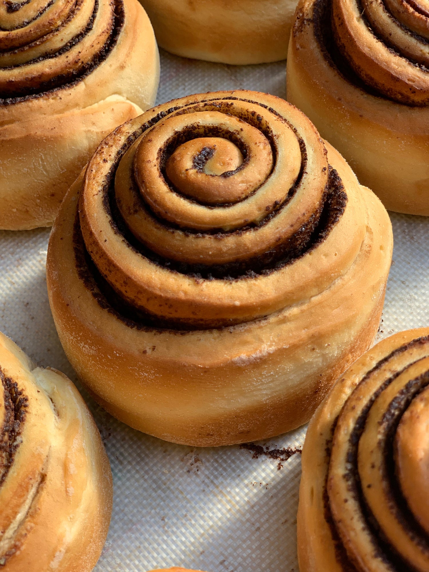 Cinnamon rolls